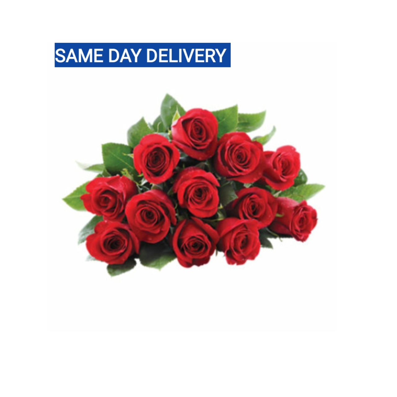 Fresh-Cut Dozen Rose Bunch