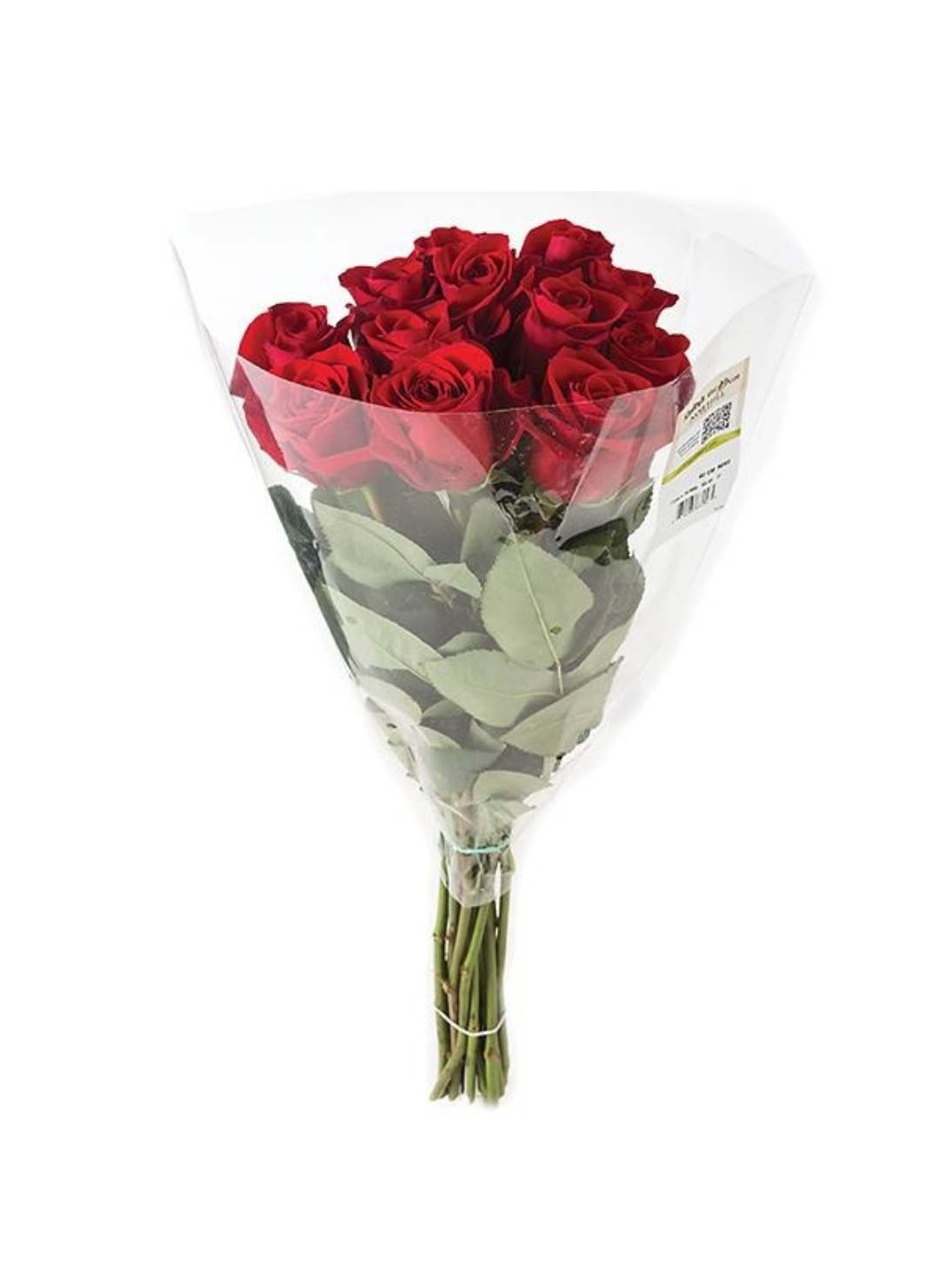 12 cut fresh rose flower