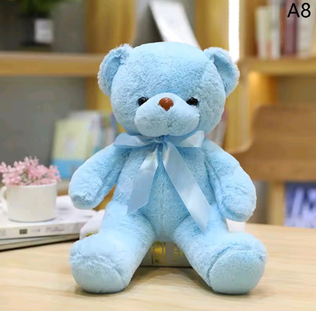 Colourful teddy bear