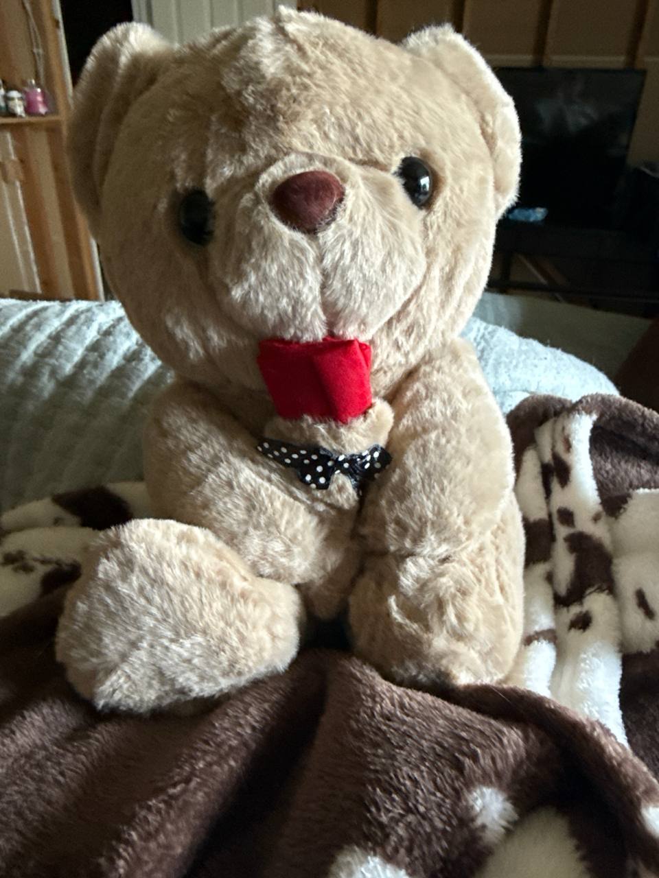 Photo shared with review of Teddy Bear For Romantic Gift